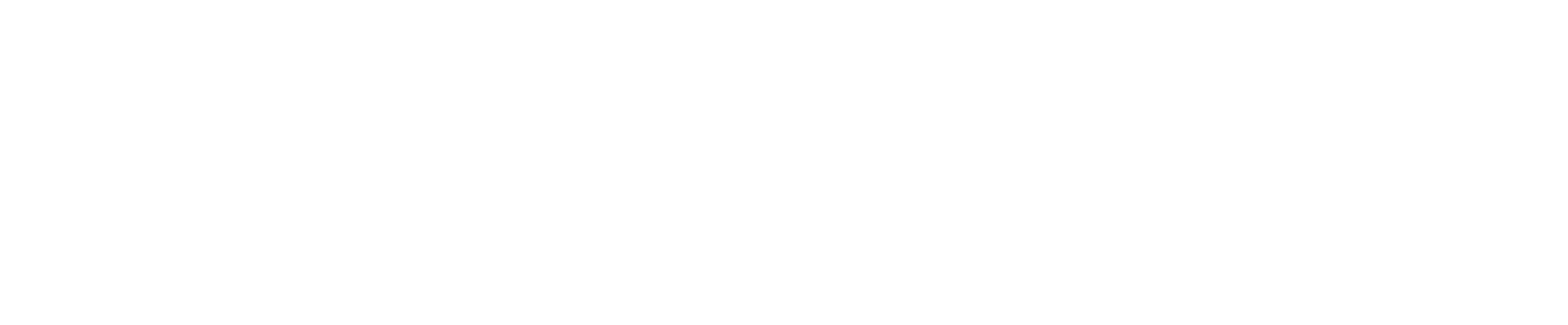Renaissance Agency